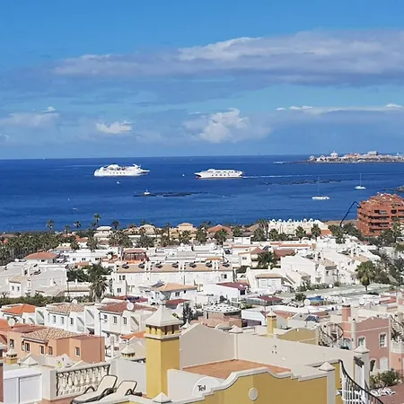 View Of Paradise Palm-mar